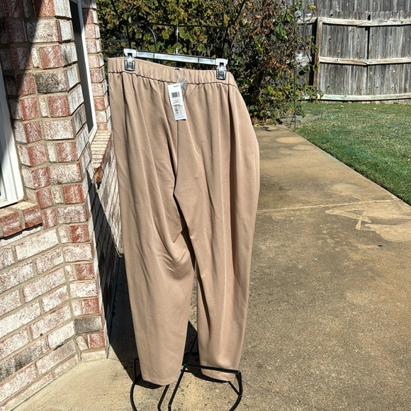 NWT Eileen Fisher Bramble Tan Straight Pants Zip Front XL - Picture 3 of 8